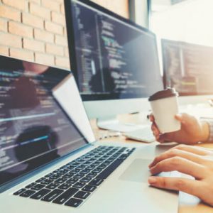 web development tutorial for beginnners